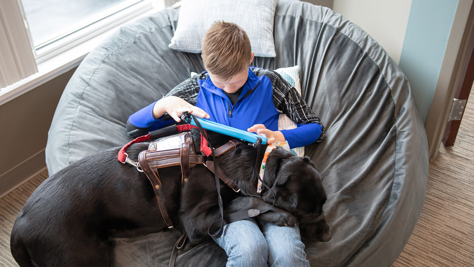 a blind boy looks at an ipad, with his service dog lying across his lap