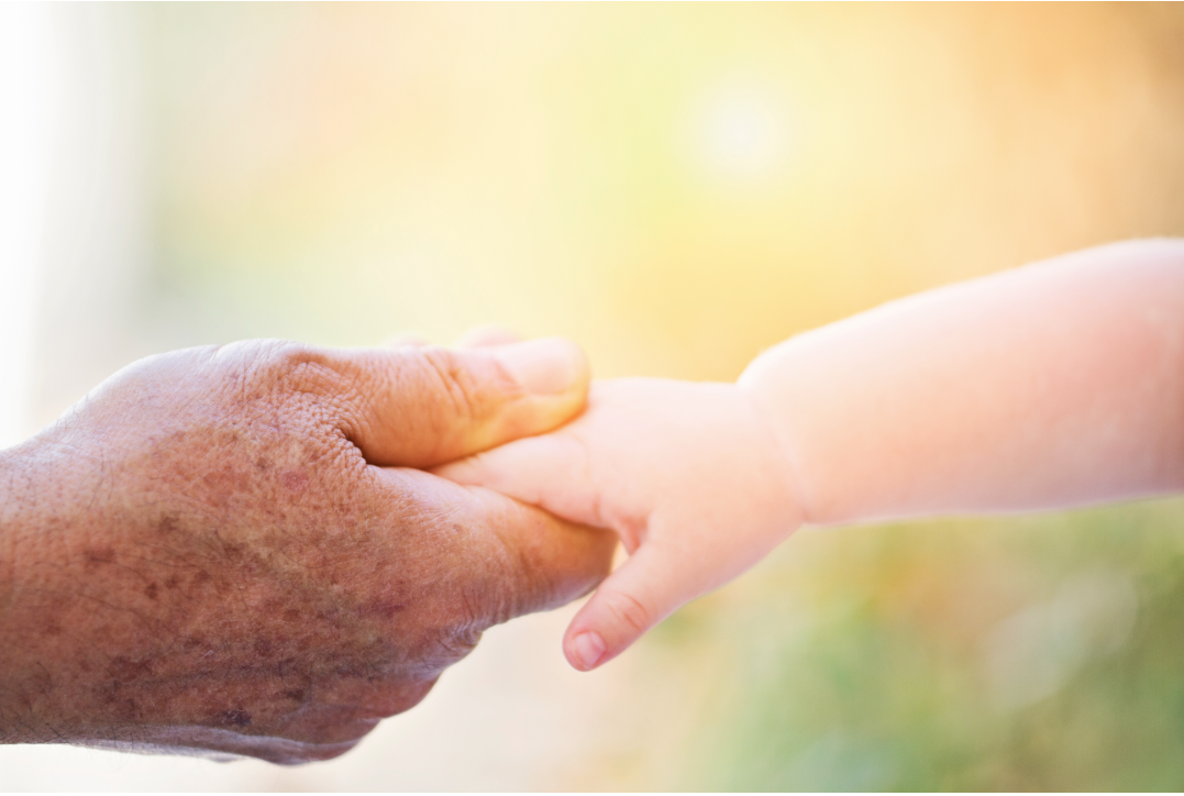 an elderly brown hand holds a young light-skinned one
