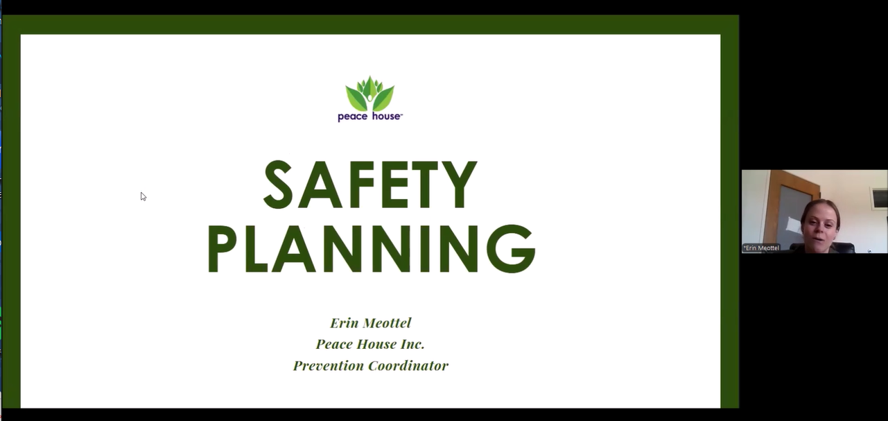 Safety Planning: Healthy Relationships ECHO April 