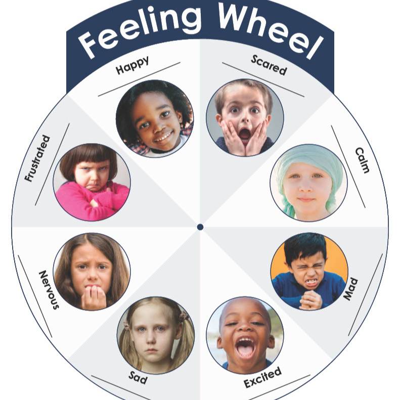 Wheel with segments displaying different emotions.