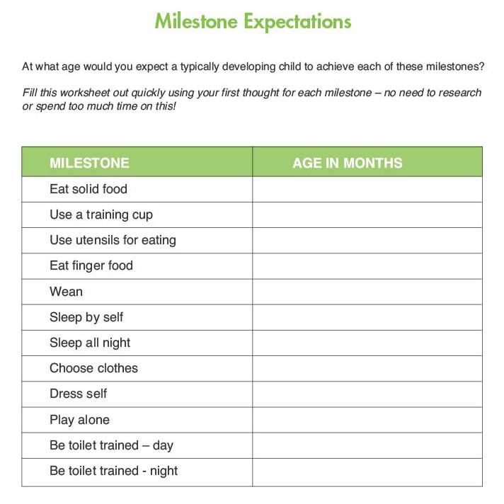 1.2 Milestone Expectations Activity